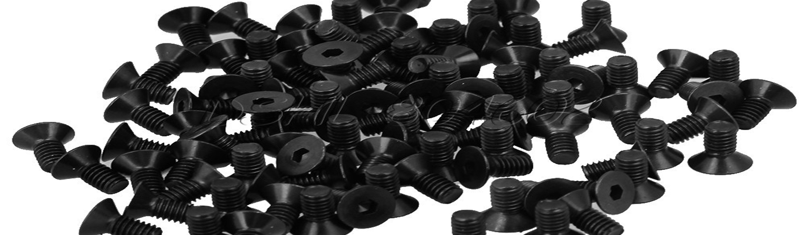 Carbon Steel Fasteners manufacturer Exporter Suppliers